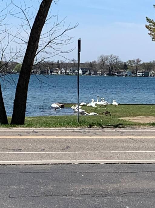 Charming And Happy Walled Lake Mi Cottage ノービ エクステリア 写真