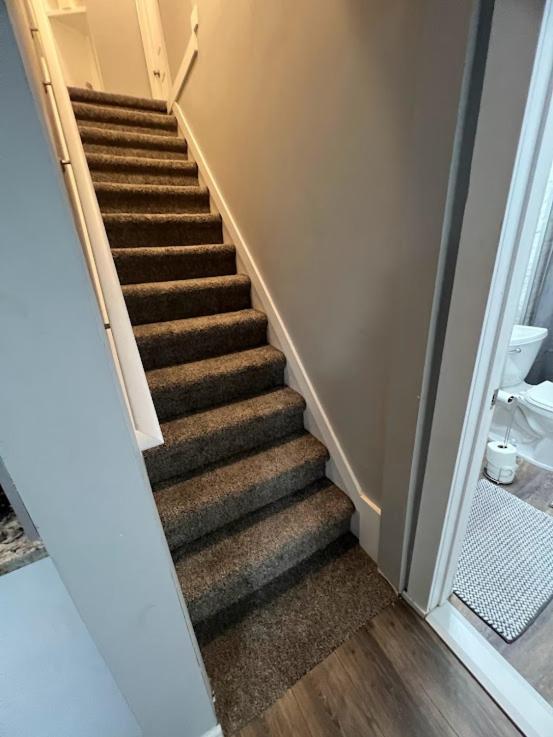 Charming And Happy Walled Lake Mi Cottage ノービ エクステリア 写真